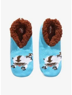 Anime Avatar: The Last Airbender Appa Fleece Youth Slipper Socks