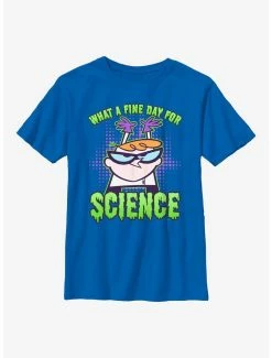 Cartoons Dexter's Laboratory Fine Day For Science Youth T-Shirt