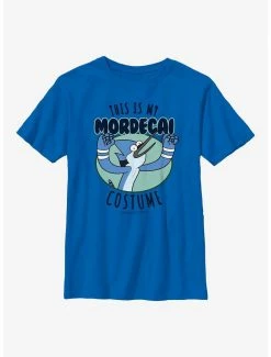 Cartoons Regular Show My Mordecai Costume Cosplay Youth T-Shirt